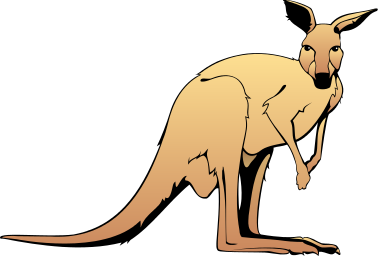 kangaroo standing