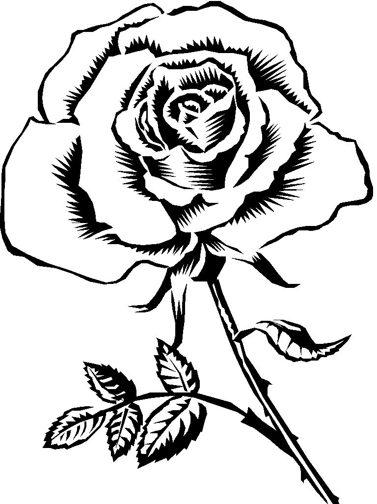 clipart black rose - photo #36