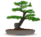 PLANTS / TREES - Public Domain clip art at WPClipart (image thumbnails