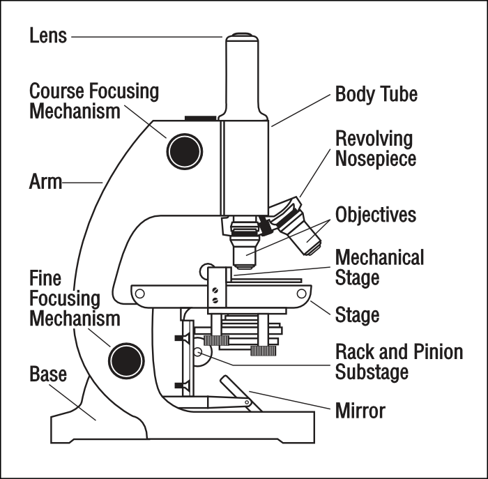microscope with labels