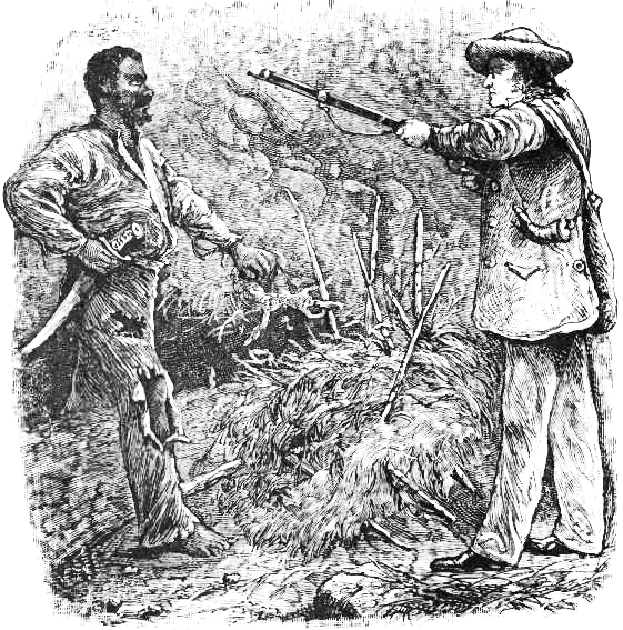 discovery of Nat Turner