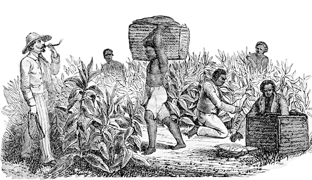 slavery in British West Indian islands