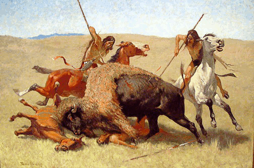 Buffalo hunt danger