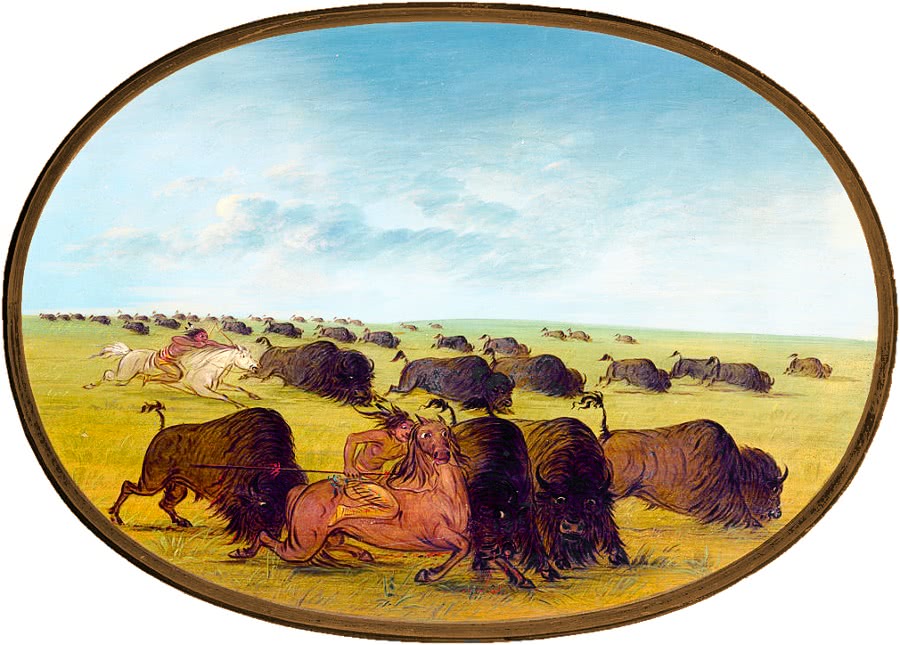 Buffalo hunt w accident