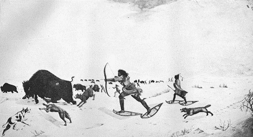 Buffalo hunting in snow