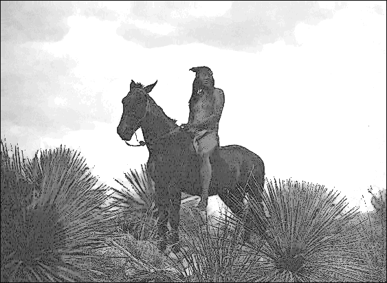 Apache scout