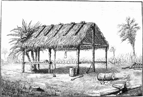 Seminole dwelling