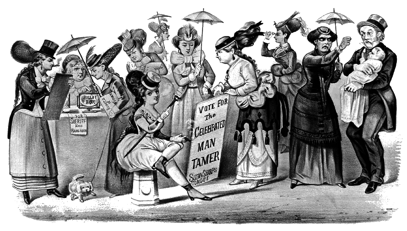 If Women could vote 1869