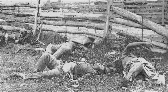Dead at Antietam 3