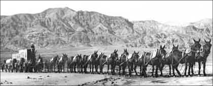 20 mule team  Death Valley