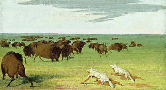 Buffalo Hunters