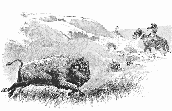 buffalo hunting