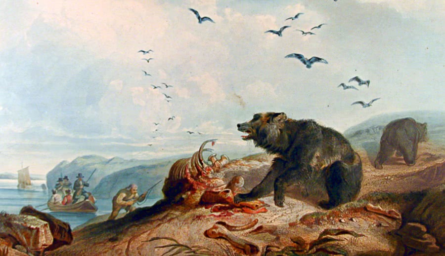 hunt bear Lewis Clarke expedition