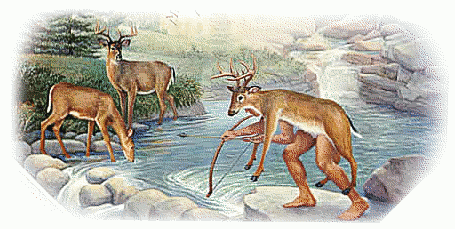 indian stalking deer