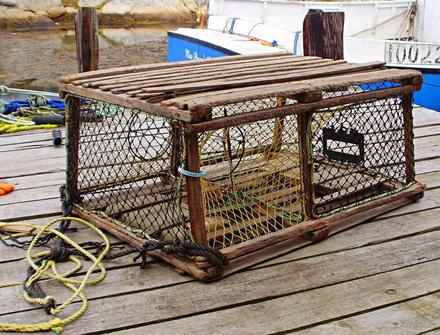 1808 lobster trap