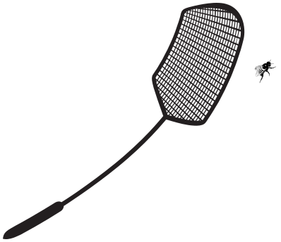 1900 fly swatter