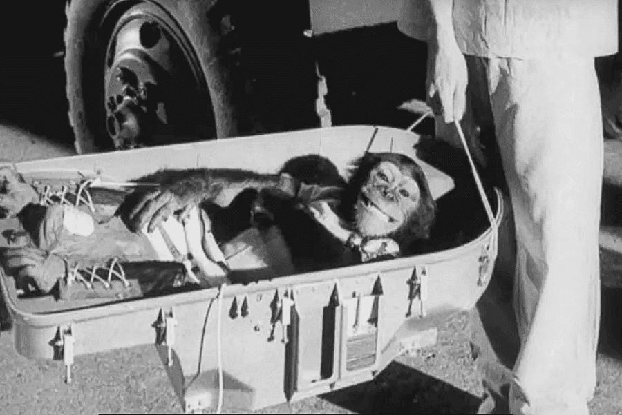 Ham the chimp returns to Earth after spaceflight 1961