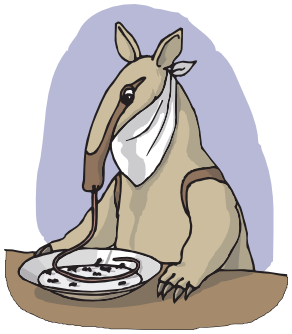 Anteater Eating from a plate
