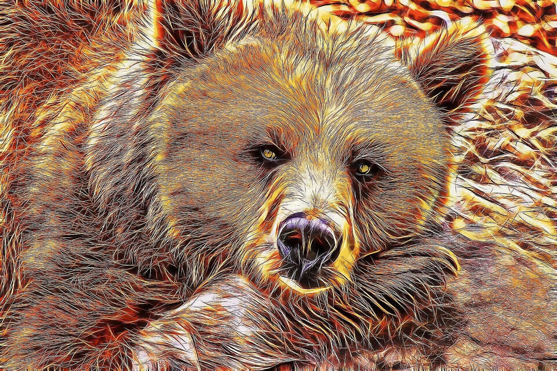 bear-fractal