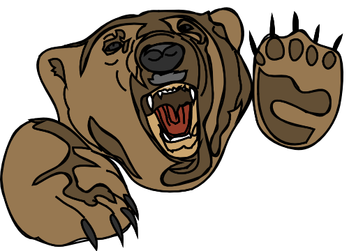 bear face attacking