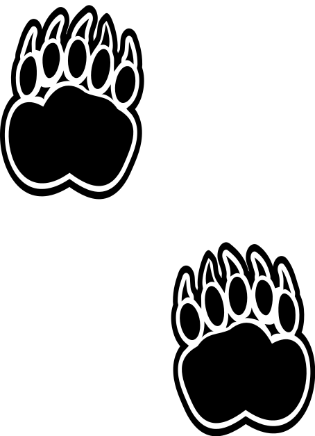 bear footprints