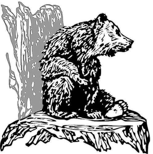bear on a stump