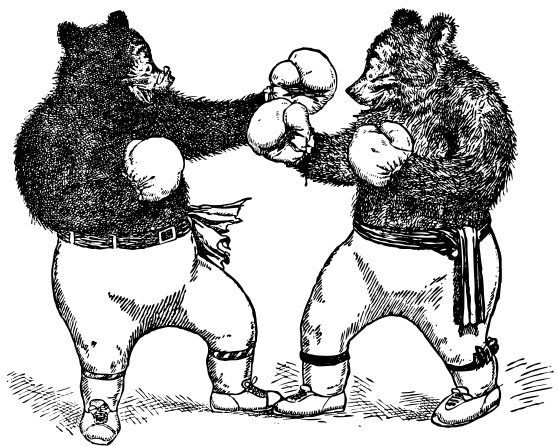 boxing bears