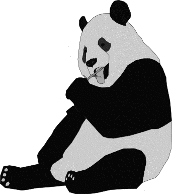 large panda eating