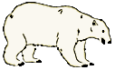 Bear Polar small