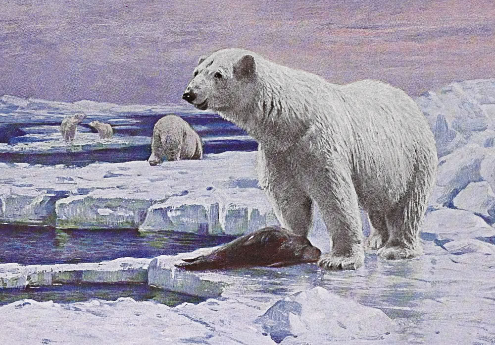 Polar Bear painting