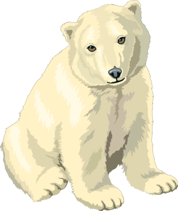 bear polar 2