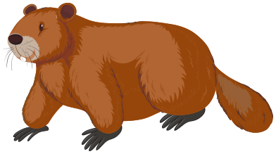 beaver-clip-art