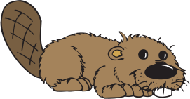 beaver-crouching