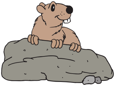 beaver-on-rock