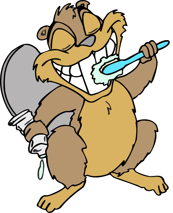 beaver brushing teeth