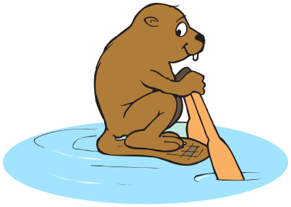 beaver rowing
