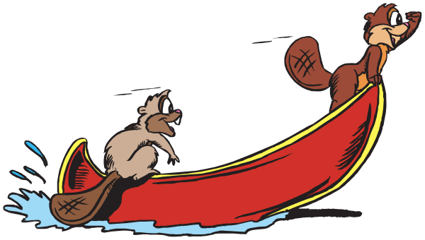 beaver rowing canoe