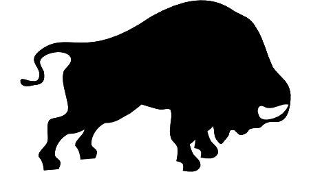 bison head down