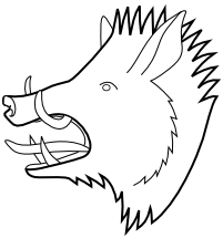 boar head outline