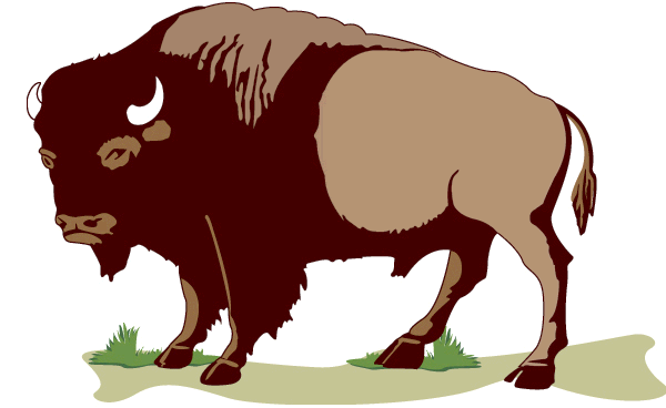 buffalo USGS