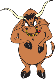 bull-angry-standing