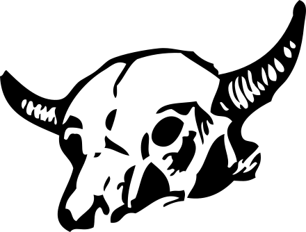 bull skull 2
