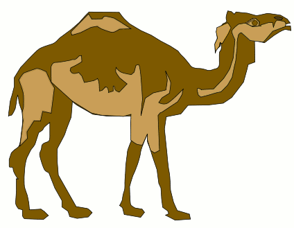 camel 6