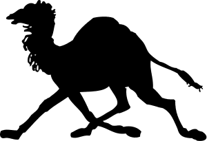 camel running silhouette