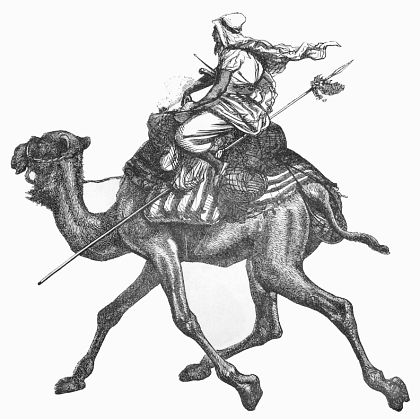 camel w rider