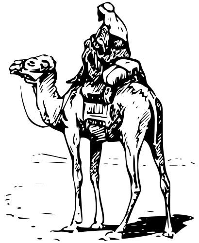 camel with rider BW