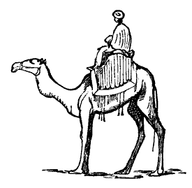 camel with rider lineart