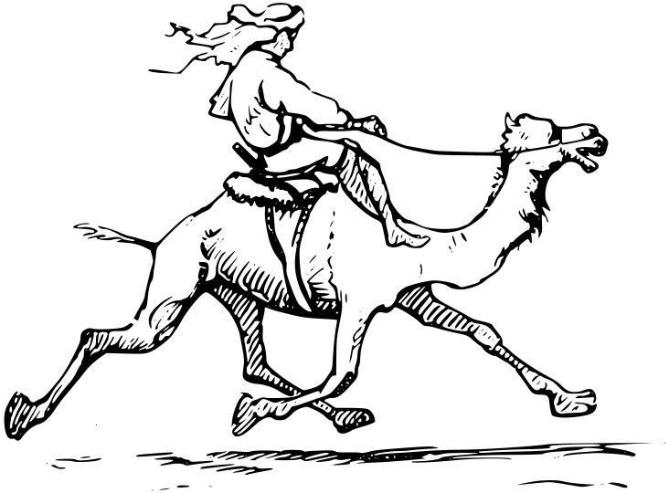 running camel