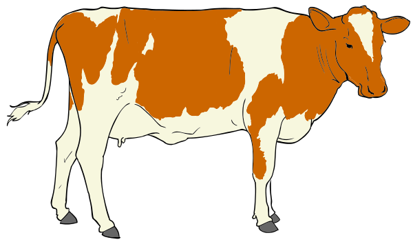 Cow clipart 01