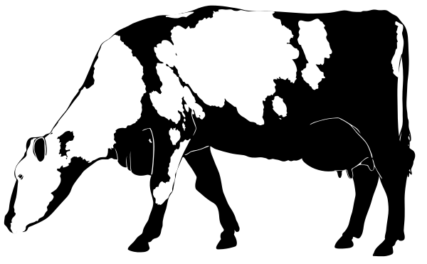 Cow silhouette 02